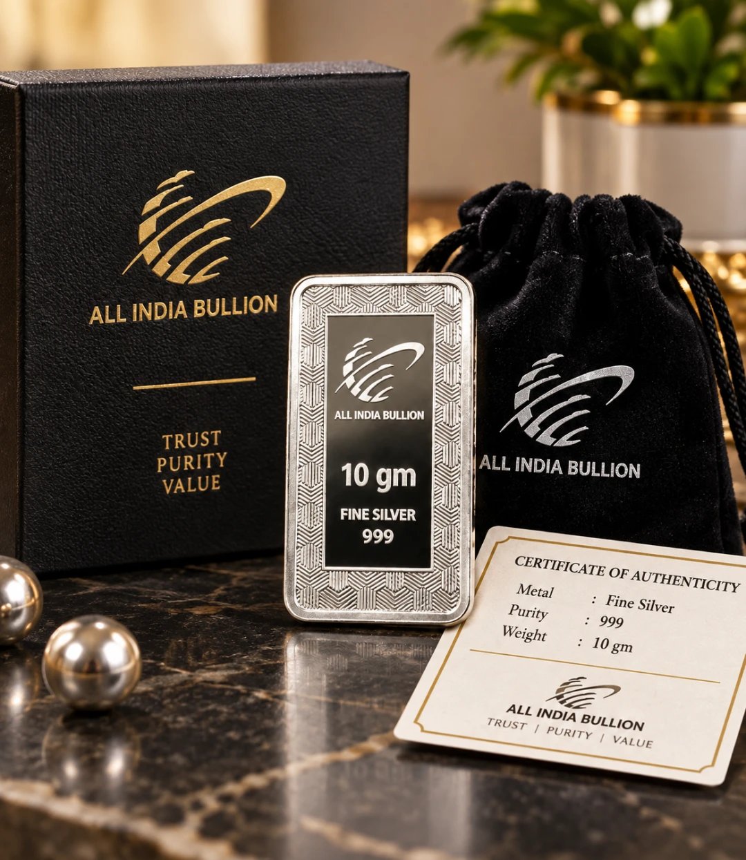 10 Gm Silver Bar